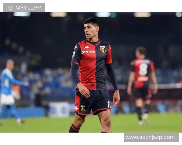 全球足球明星全名英文汇总及其职业生涯成就分析